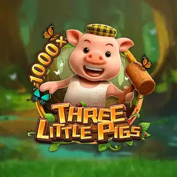 Three little Pigs Fa chai